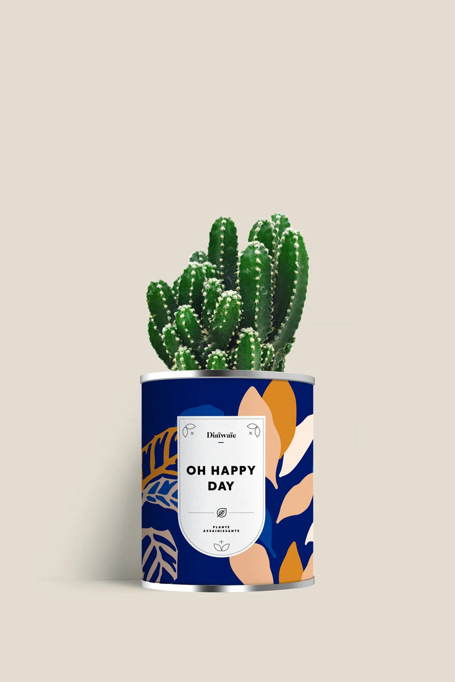 Diaiwaie - Plante Oh Happy day
