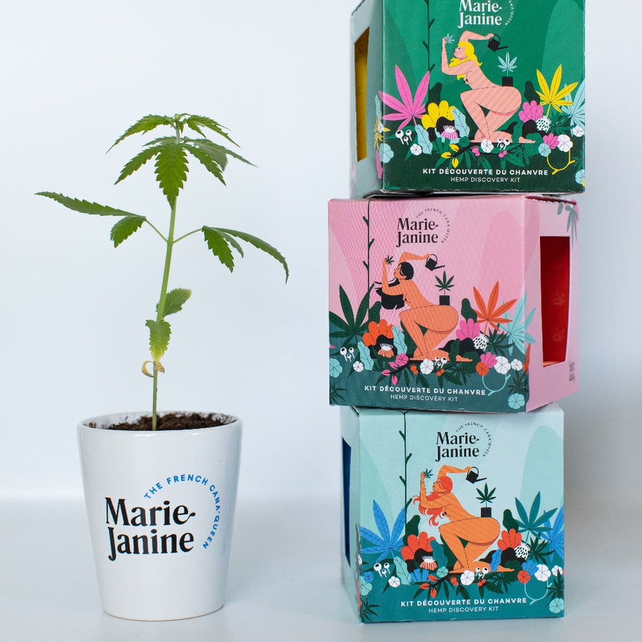 Kit plantation de chanvre - Chanvre à planter - Marie Janine – Calembour